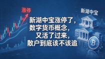 新湖中宝涨停了，数字货币概念又活了过来，散户到底该不该追
