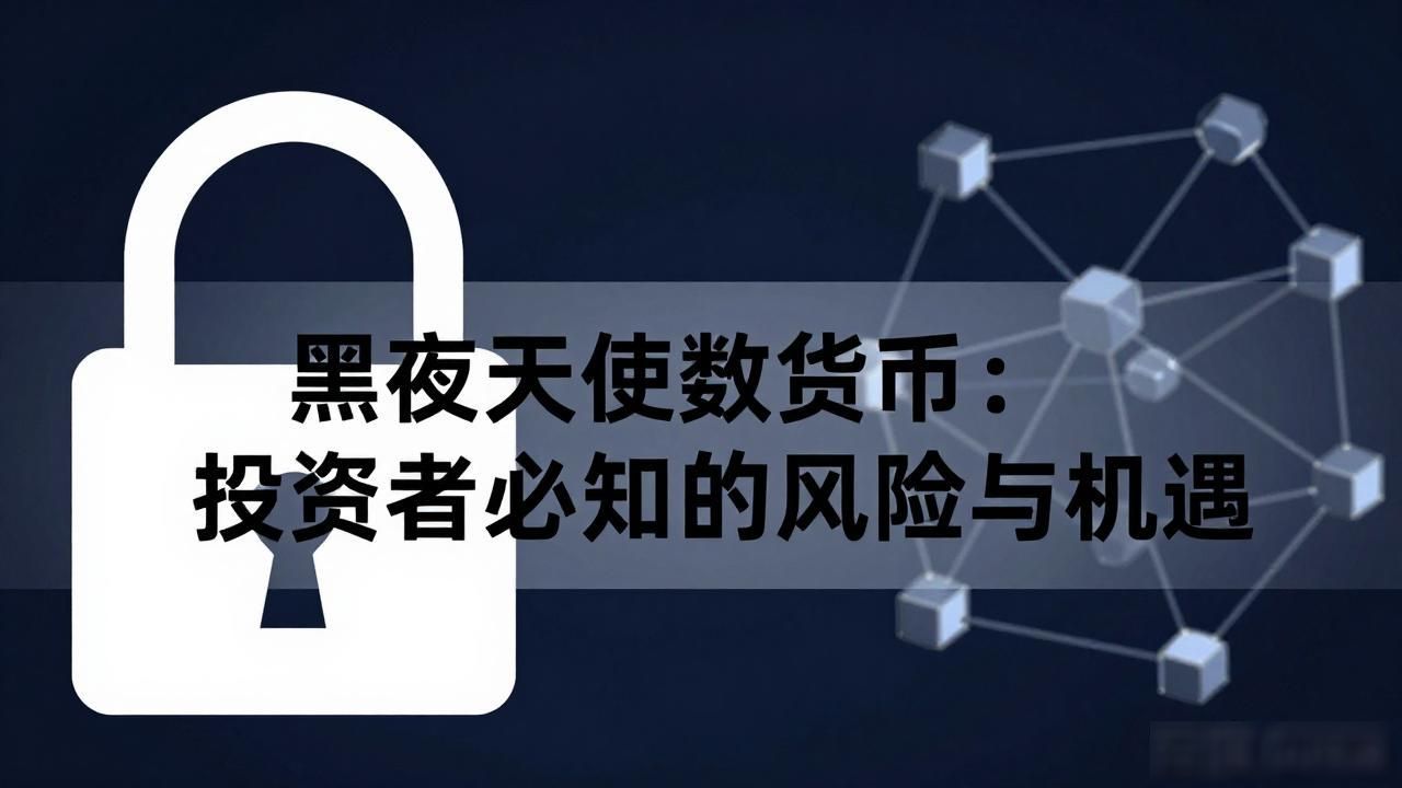 黑夜天使数字货币:投资者必知的风险与机遇